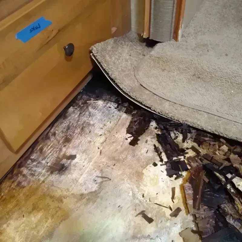 Best Wood Floor Water Damage Service in Lincolndale, NY